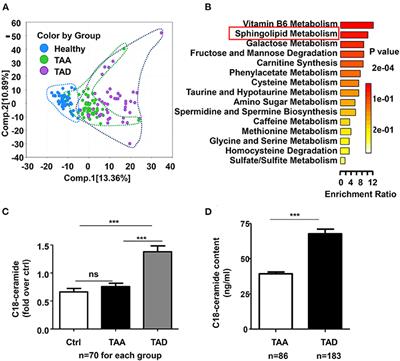 Metabolomic Profile Reveals That Ceramide Metabolic Disturbance Plays an Important Role in Thoracic Aortic Dissection
